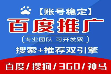 解析某某SEM服务公司的广告投放策略与效果评估